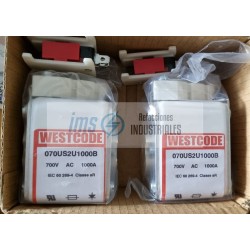 070US2U1000B