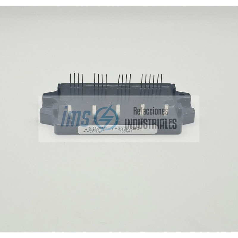 PM30CSJ060