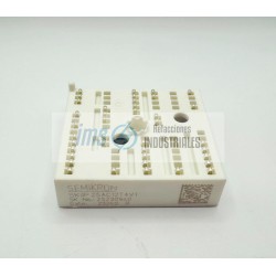 SKIIP25AC12T4V1