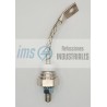 R5021213LSWS